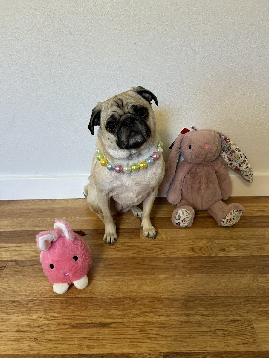 Lt. Petunia Mae Parker 🐷🐑 tweet media