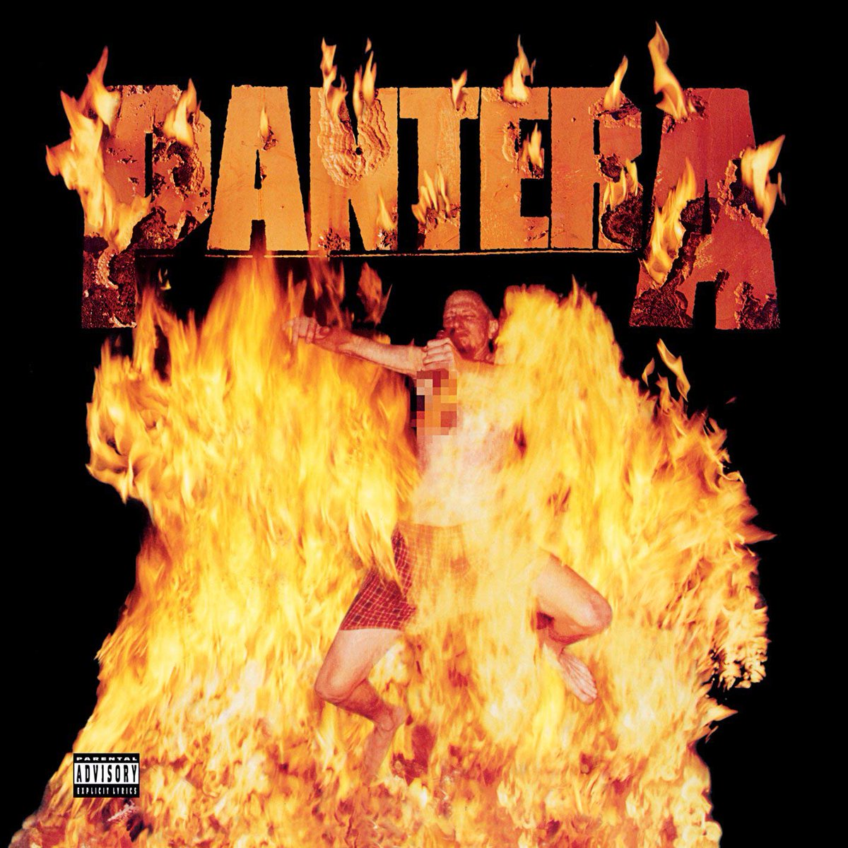Share an album cover with flames on it. Pantera: Reinventing the Steel