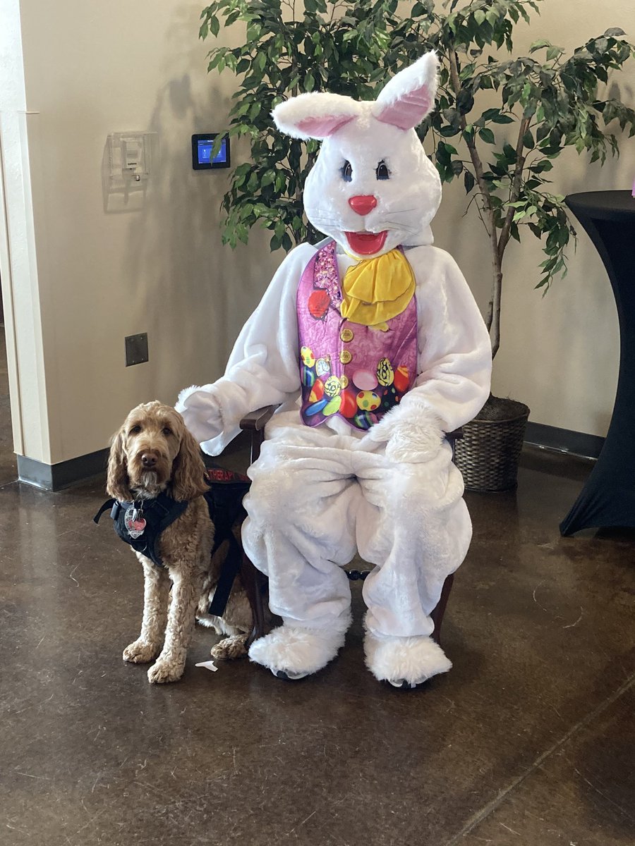 Donut and the Altoona Police Department wishing everyone a happy and safe Easter! The Easter Bunny and Donut at Best Friends Forever!!!!