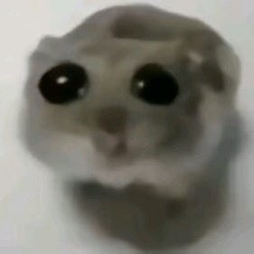 ay ya tengo muxos mutis de la nada, me puse timido
