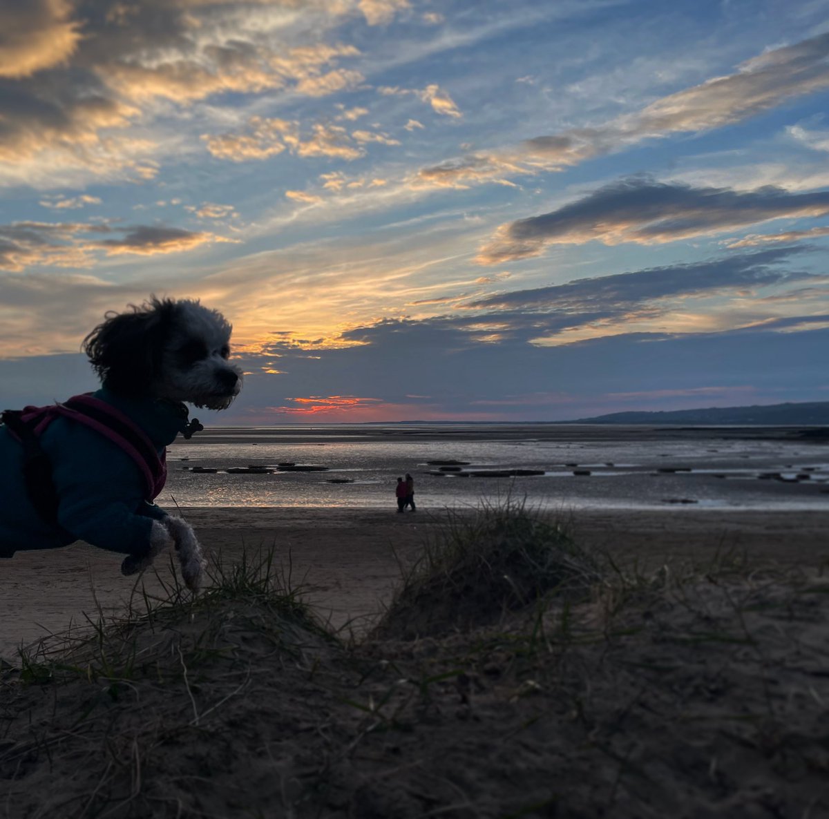 Beautiful evening stroll in Llanelli. Summer is around the corner, keep going.