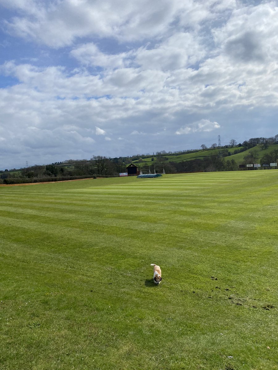 mikeymel0n's tweet photo. Most of the outfield cut today at @checkleyaces  square had another cut. First wicket brush, cut and rolled in prep for the 13th April. Covers on as more rain most of the week. #rollonsummer https://t.co/sGwPfDQosJ