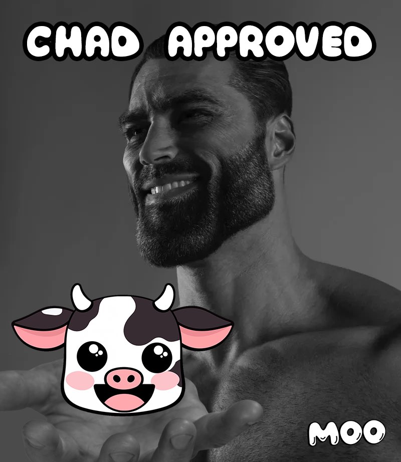 MooCoinSol's tweet photo. CHAD approves of $MOO 

3 new CT’s have been onboarded, more influencers joining us, #MOO is a movement. https://t.co/mMkw5HqOHm