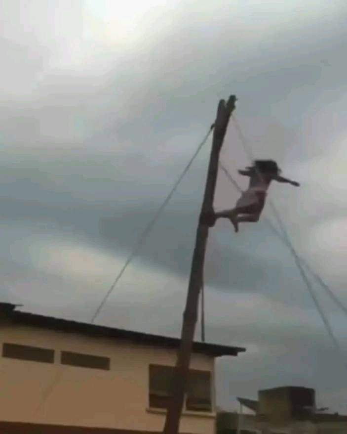 Zone1Aj's tweet photo. Actor Playing Jesus On Easter Friday Lands Heavily On the Floor as He Mistakenly Falls from the Cross. 
#freeVerydarkman #Bbnaijaallstars https://t.co/qRmi46D1sC