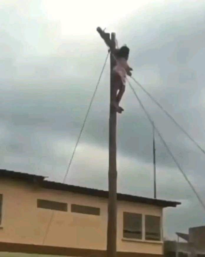 Zone1Aj's tweet photo. Actor Playing Jesus On Easter Friday Lands Heavily On the Floor as He Mistakenly Falls from the Cross. 
#freeVerydarkman #Bbnaijaallstars https://t.co/qRmi46D1sC