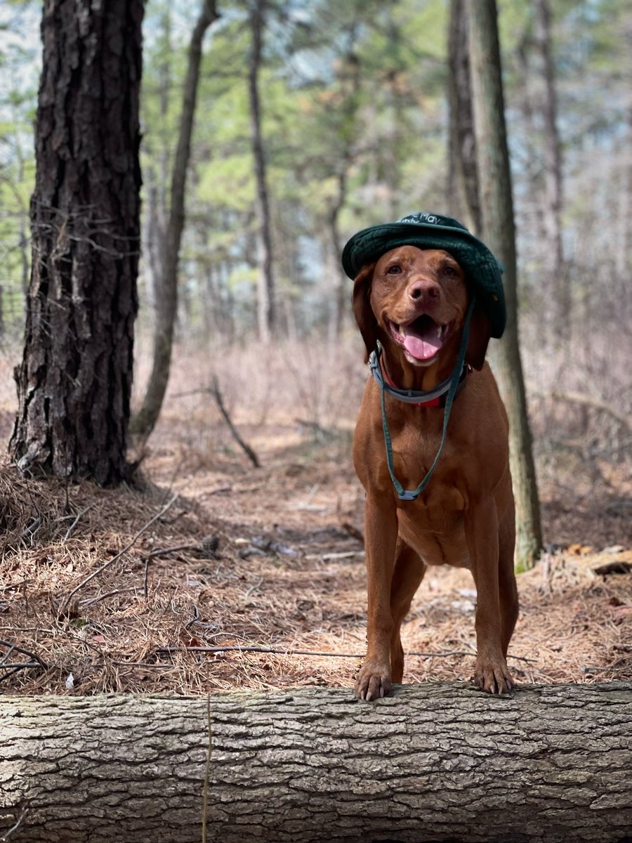 Agata Dera tweet media