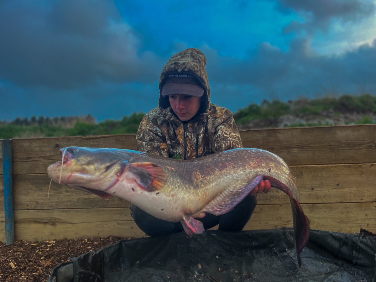 Reuben_angler's tweet photo. 28lb beast of a catfish fell to an @urban_bait  tuna and garlic  18mm hardened hookbait fished half a rod Length away from an aerator.
Making the @DelkimLtd  scream🎣🎣 https://t.co/i2L0W7RtN5
