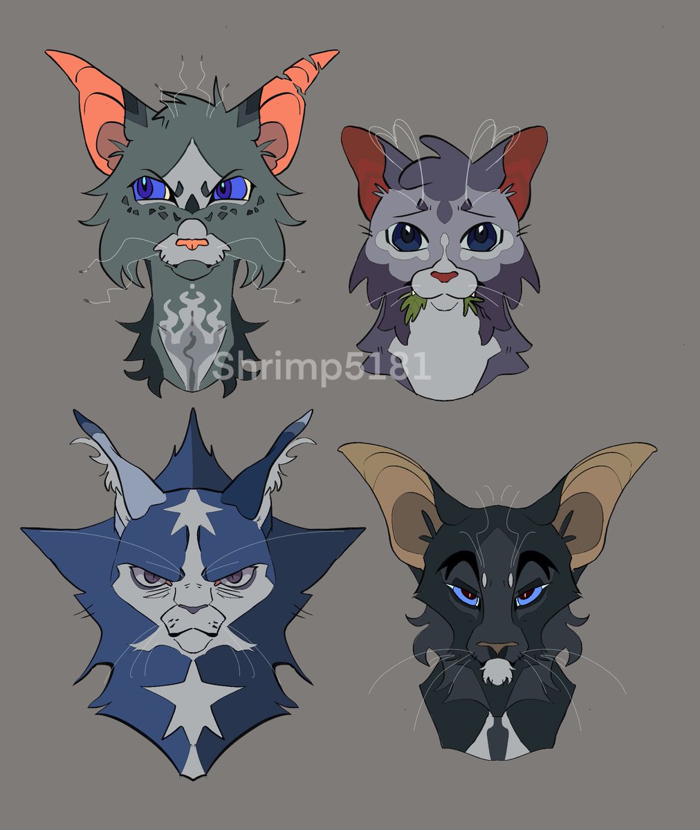 So much fun #warriors #warriorcats