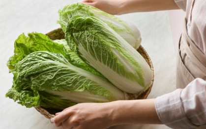 need to eat some $CABBAGE, can u watch this for me?