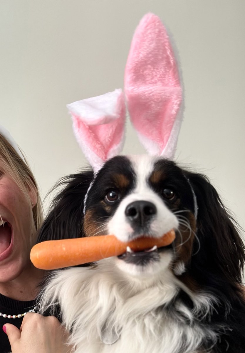 Felices Pascuas, de parte de Cambur Antonio 🩷🐰