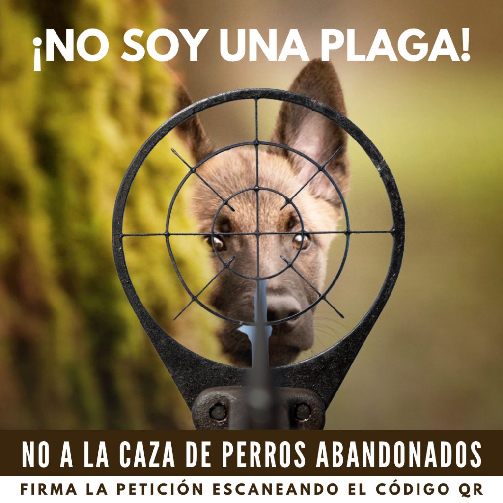 quelitaleiva's tweet photo. #NOALACAZADEPERROS  #chile @GobiernodeChile @GabrielBoric https://t.co/d9WvIcdYMS