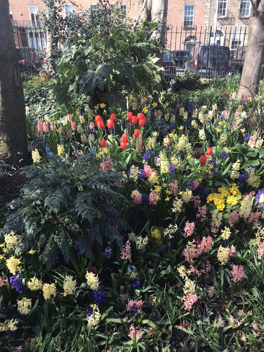 Happy Easter from Dublin !