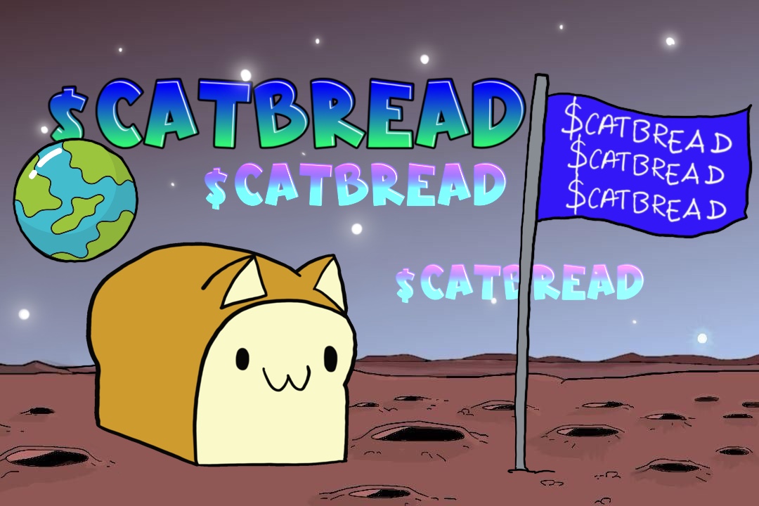 SolanaCatBread's tweet photo. Why look for a new cat meme when CatBread is right here in front of you looking cute and delicious?

Come in Telegram and lets connect and send the CatBread passed ATH and then to $500M (literally)

If you're reading this lets be Bread Chads and chad CatBread 😺🍞😺🍞😺🍞 https://t.co/f8YsZ8PPPT