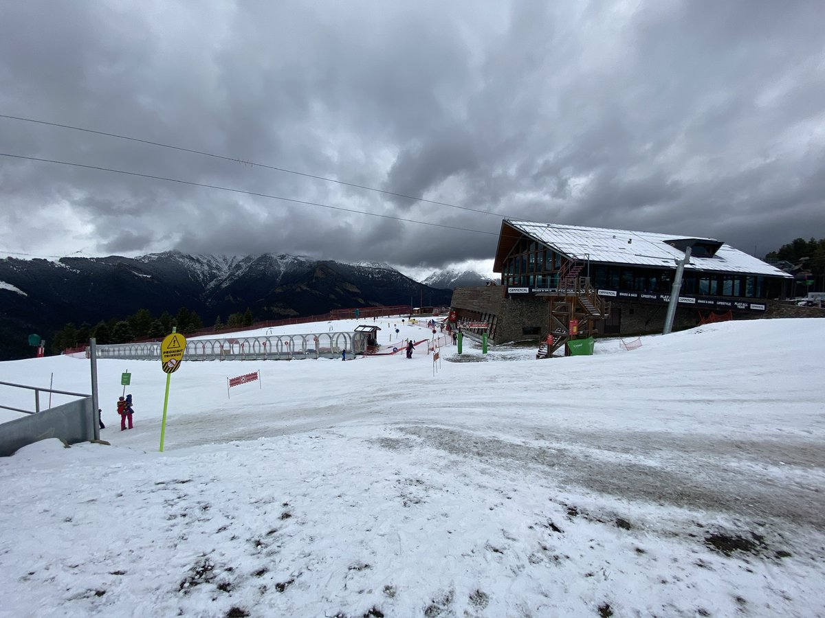 Flavio Amiel ⭐️⭐️⭐️ tweet media