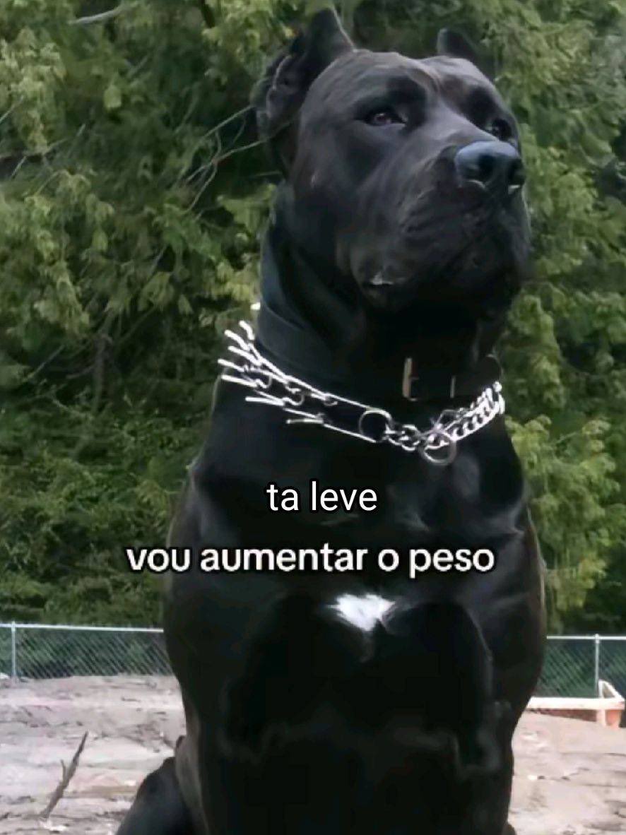 pivetemaromba's tweet photo. eu ae https://t.co/qEEhMX1N9V