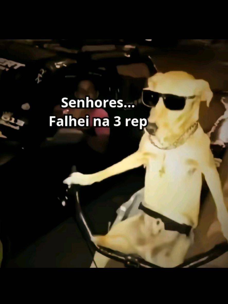 pivetemaromba's tweet photo. eu ae https://t.co/qEEhMX1N9V