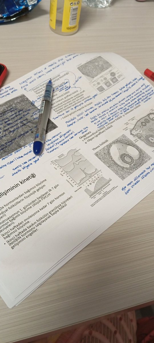 Dışarıda İstanbul'un zafer çığlıkları ben gene ders çalışıyorum amk