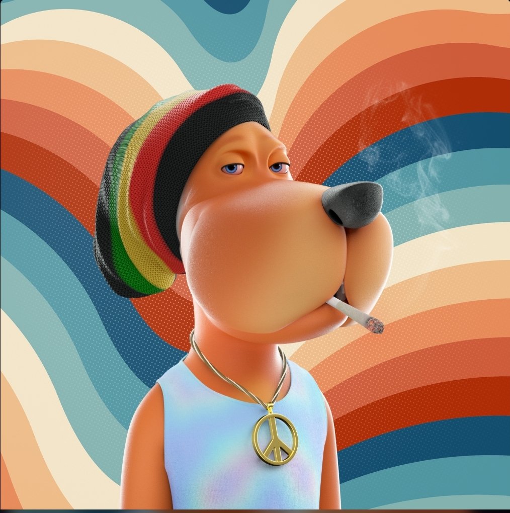 Talko🦴🐕 tweet media