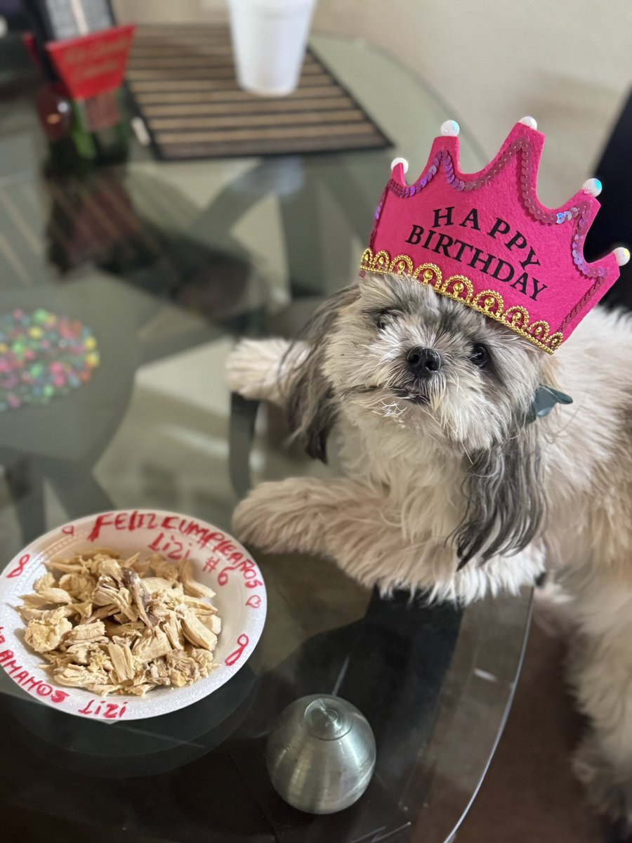 M_Camicarrasco's tweet photo. Cumpleaños #6 de mi Lizi🫀👑🎂 https://t.co/9v96AnjMkl