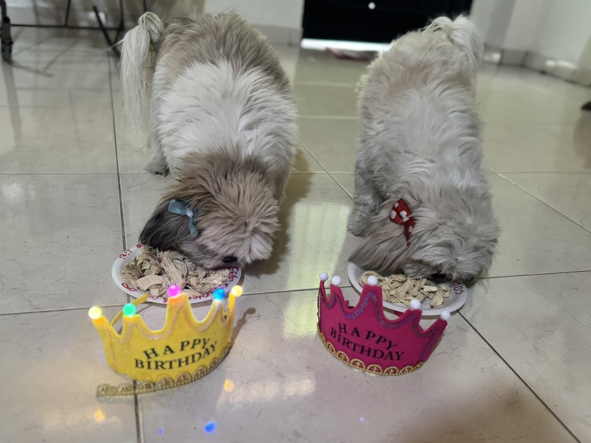 M_Camicarrasco's tweet photo. Cumpleaños #6 de mi Lizi🫀👑🎂 https://t.co/9v96AnjMkl