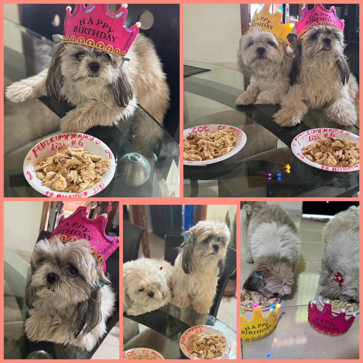 M_Camicarrasco's tweet photo. Cumpleaños #6 de mi Lizi🫀👑🎂 https://t.co/9v96AnjMkl