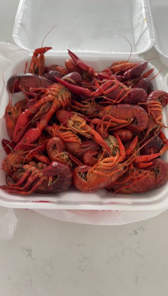 jrIU01's tweet photo. Easter with the Fam down in the 850. Life is good. @AJsGraytonBeach w/ the Easter brunch and crawfish boil! Our guy Judah taking care of us as always! @_ParkerReynolds we are keeping the shrimp and crawfish ready for you. #30A #TheBrand #TheCountDownHasStarted #FloridaLifeSoon https://t.co/2I0C4I7Oyv
