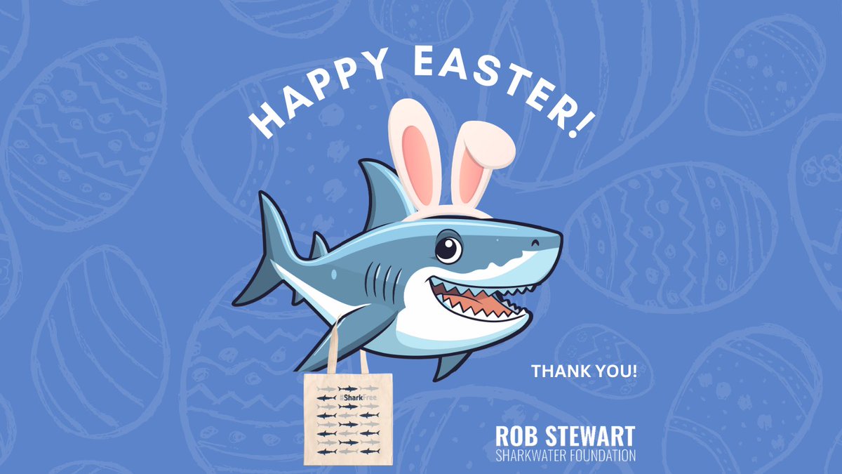 🎉🐣 Happy Easter! Thanks for supporting sharks & oceans. From Fin Free to Shark Free, your efforts matter. 🦈💙 Click the link to help us make a change✨🌊 linktr.ee/teamsharkwater… #sharkwater #robstewart