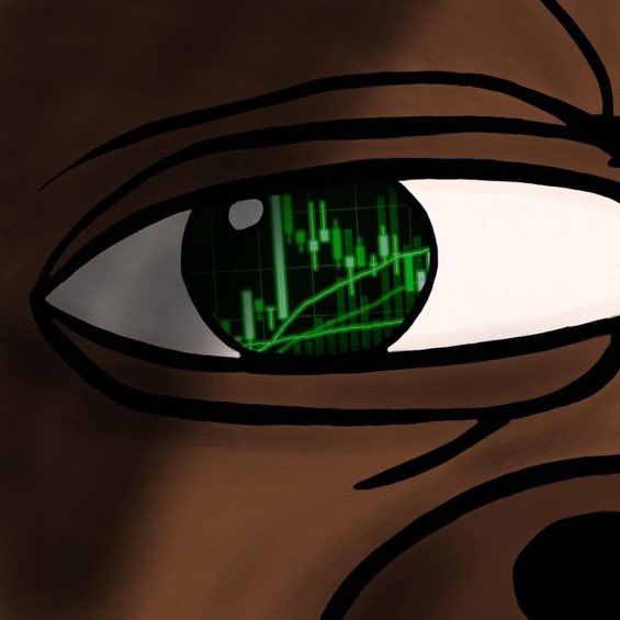 David Gokhshtein tweet media