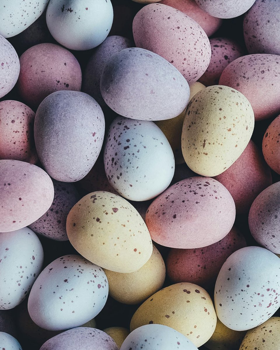 AustrianwineUSA's tweet photo. Swipe to see the kind of eggs we get really excited about! 👉🏼 Happy Easter to all! 🥚
.
.
.
#ᴇᴀsᴛᴇʀsᴜɴᴅᴀʏ #adulteaster #concreteeggs #winefermentation #fermentation #winelover #austrianwine #austrianwines #easterfun #wineallthetime https://t.co/GolX0aujUR