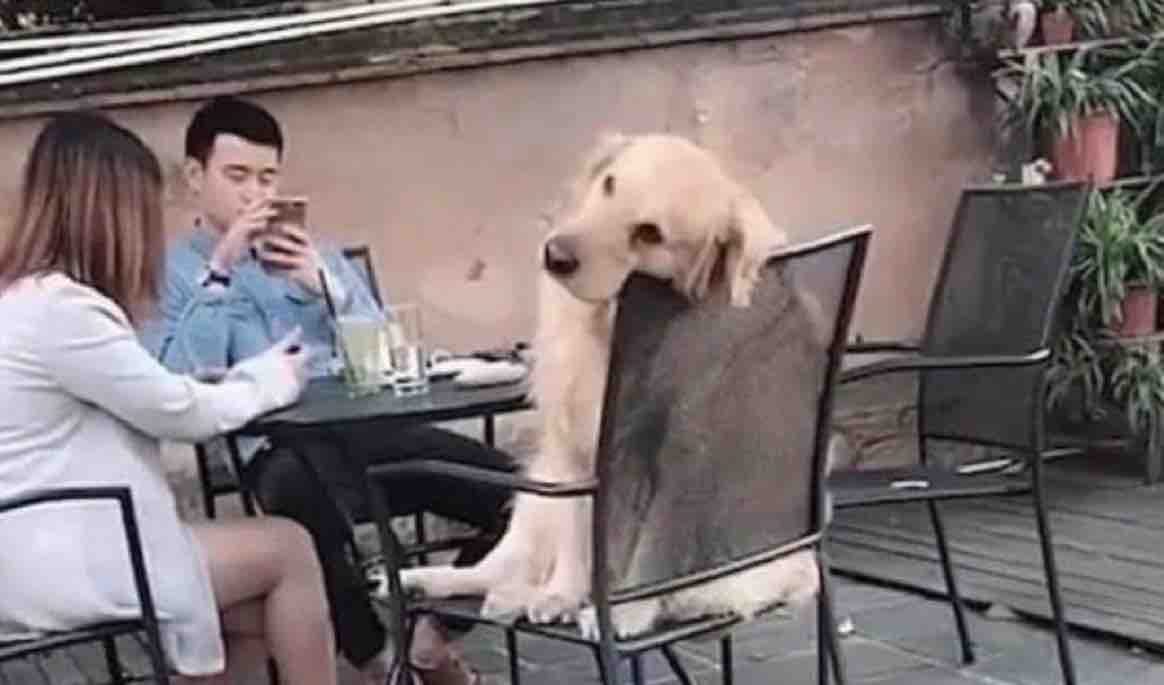 El Guarromántico tweet media