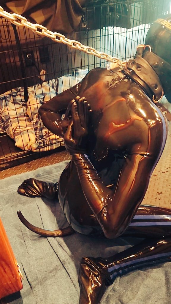RubberButters's tweet photo. Tail plugged with the XL Mastiff tail plug, locked in chastity, gagged with a urinal funnel and in total sensory isolation. Sweating in skintight rubber head-to-toes, leaking precum from its cage into the rubber codpiece...slave is stored, waiting to swallow Master's piss 🤤 🥵 https://t.co/dUCK2YrEoA