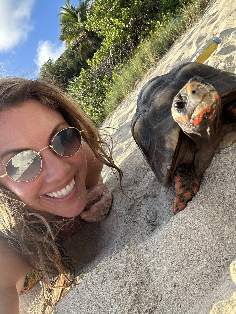 AmberEMcNutt's tweet photo. #saintbarth #stbarth https://t.co/tgmZd8IBPn