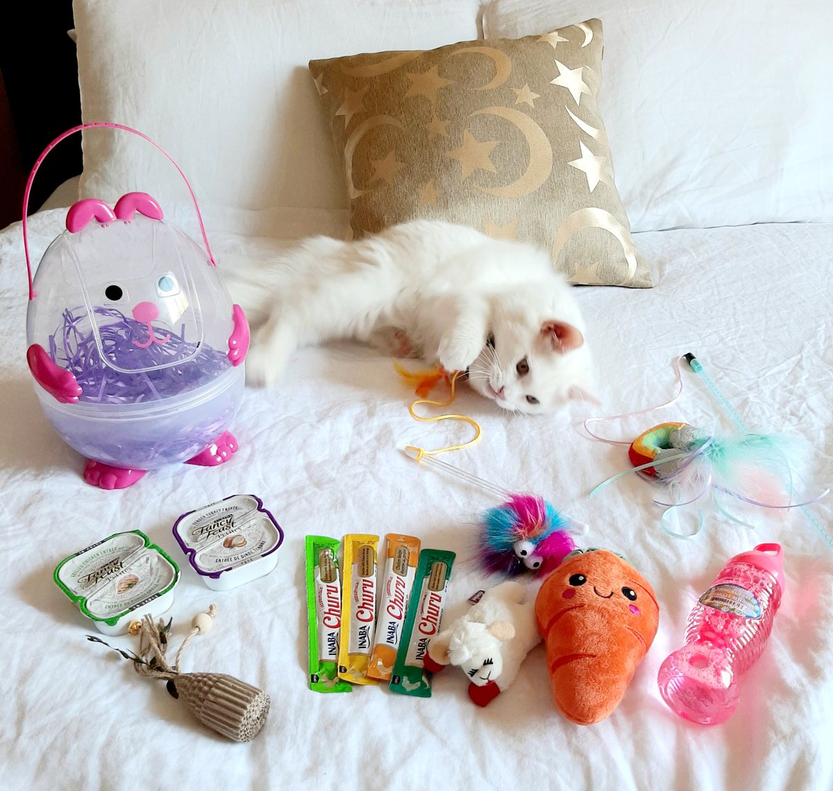 FindingFaerie's tweet photo. Happy Easter Everyone! 🐇 The Easter Bunny visited Nikki &amp; he's going crazy over his new catnip toys 😻 #nikkikitty #Easter #catsofx #cattoys #cattreats #findingfaerie https://t.co/TtA72DrLoC