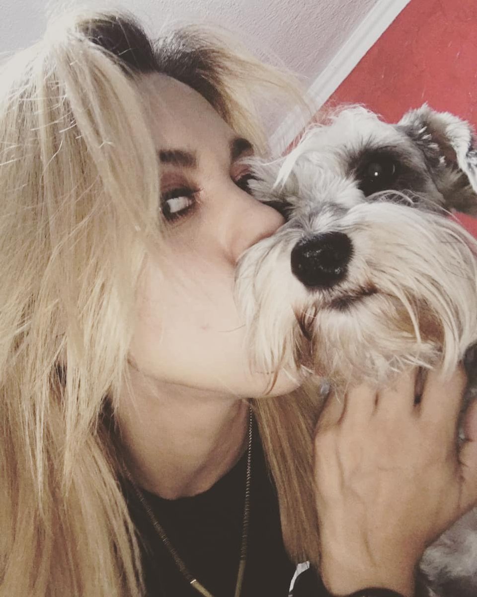 SchnauzyDog's tweet photo. https://t.co/91ogc9rmYk https://t.co/Rv0RckP1tL