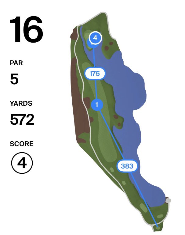 Yeah, that says 383 😮‍💨 @AleTostiOK absolutely smokes his drive on the 16th with his Srixon ZX5 Mk II Driver 🚀 #TeamSrixon