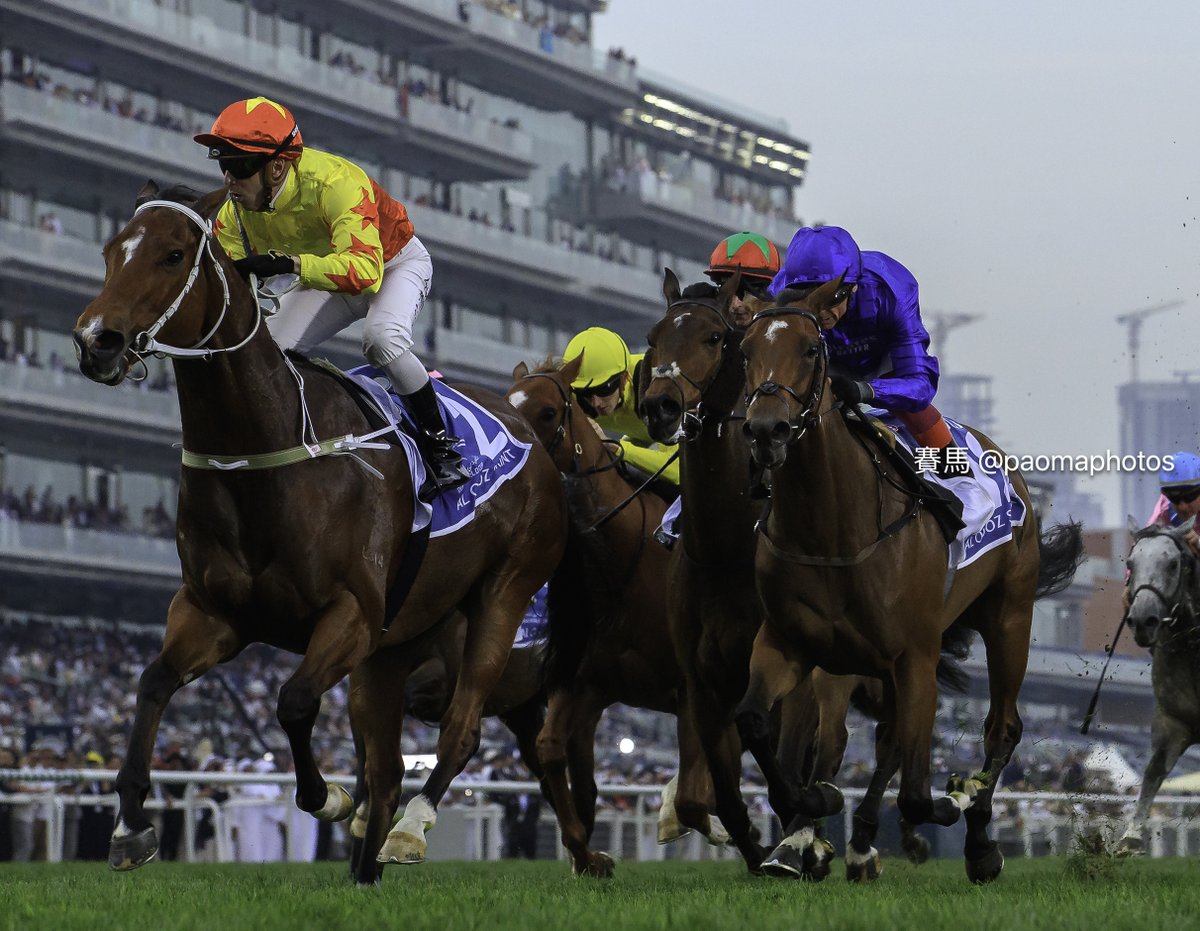 Had a card I couldn't download Saturday evening, had to wait until I got home and it was worth the wait. California Spangle (Starspangledbanner 🇦🇺 x Pearlitas Passion 🇮🇪) and Brenton Avdulla winning the Al Quoz Sprint at Meydan. #HKracing #HorseRacing