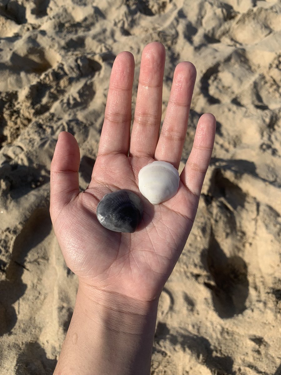 beach day w my bf the other day :) <3
