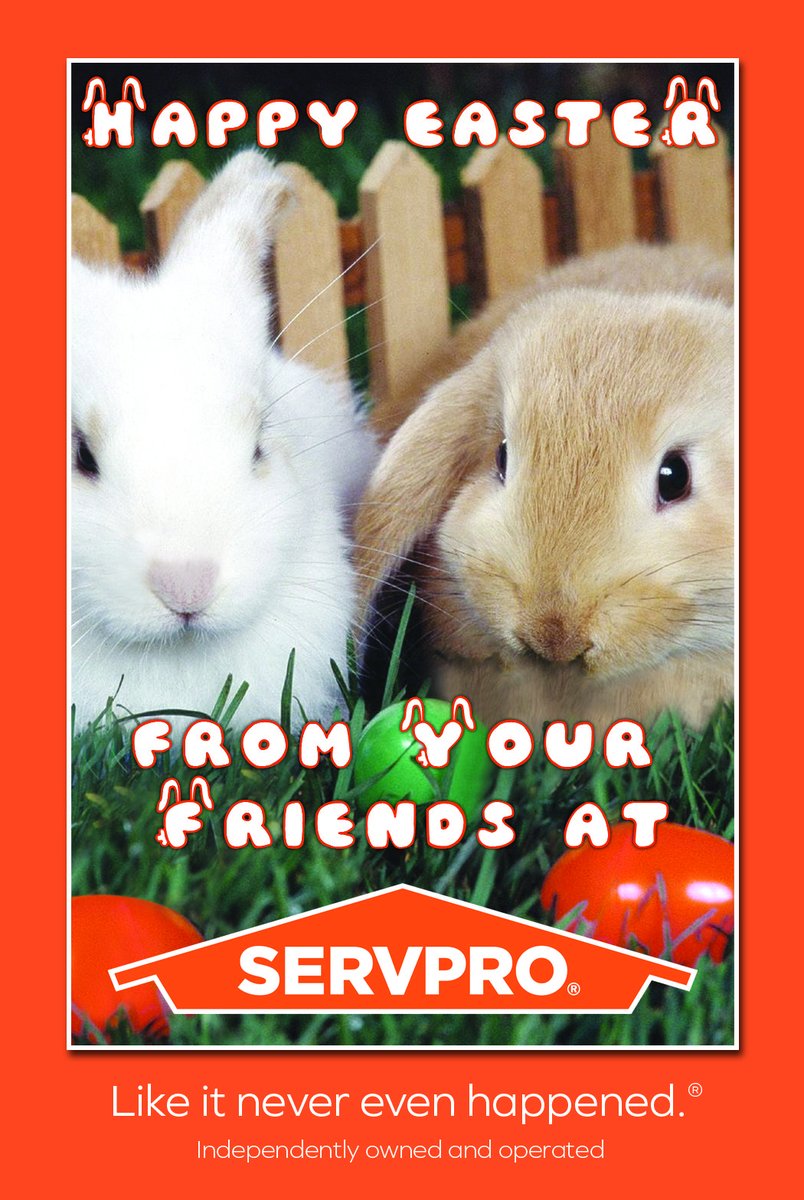 Spring into a fresh start this Easter with Servpro of Beverly/Cape Ann! Wishing you a season filled with renewed hope, joy, and clean beginnings. 🌷🐣 #HappyEaster #ServproCares