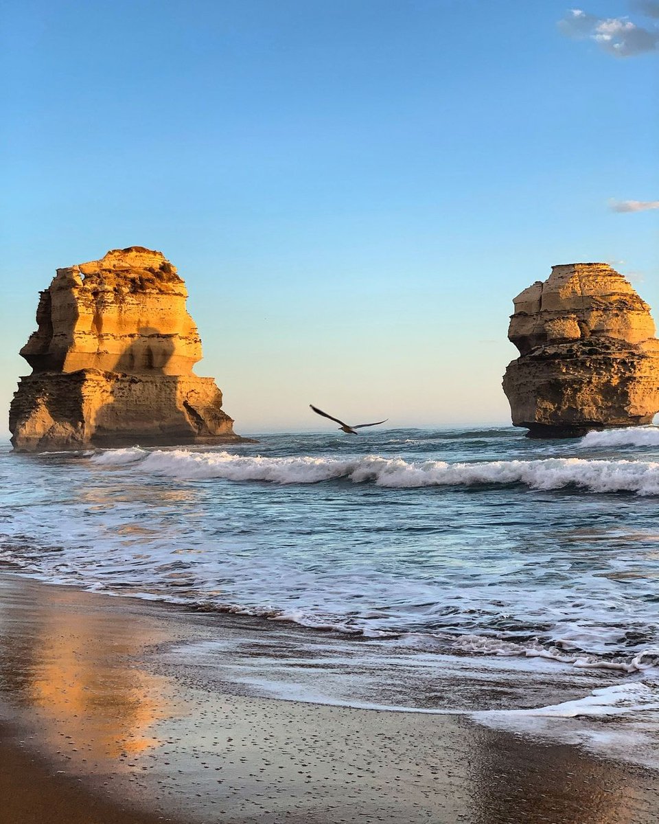 Melbourne's tweet photo. Every time we see the Twelve Apostles feels like the first ✨

📍 Port Campbell National Park, Twelve Apostles, @VstGreatOceanRd 
 📸 via IG/andywking https://t.co/nKtEQq7r3h