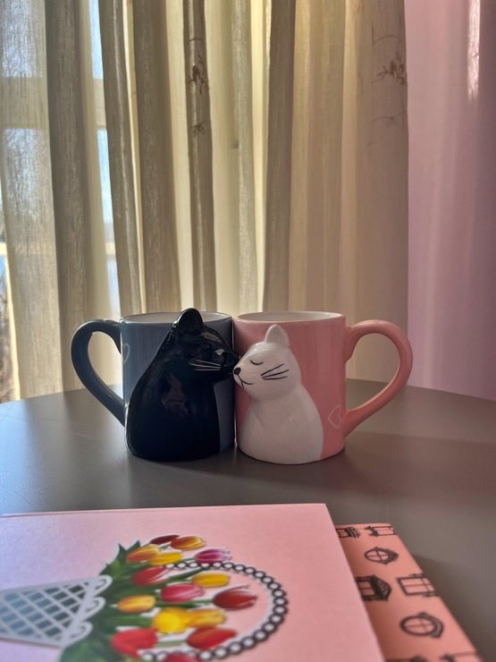 s44nti's tweet image. mi pareja me regaló estas tazas de gatos que al juntarlas se besan 🥹🥹