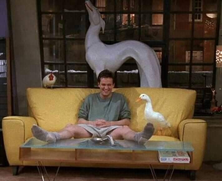 OnlyyViewer's tweet image. 