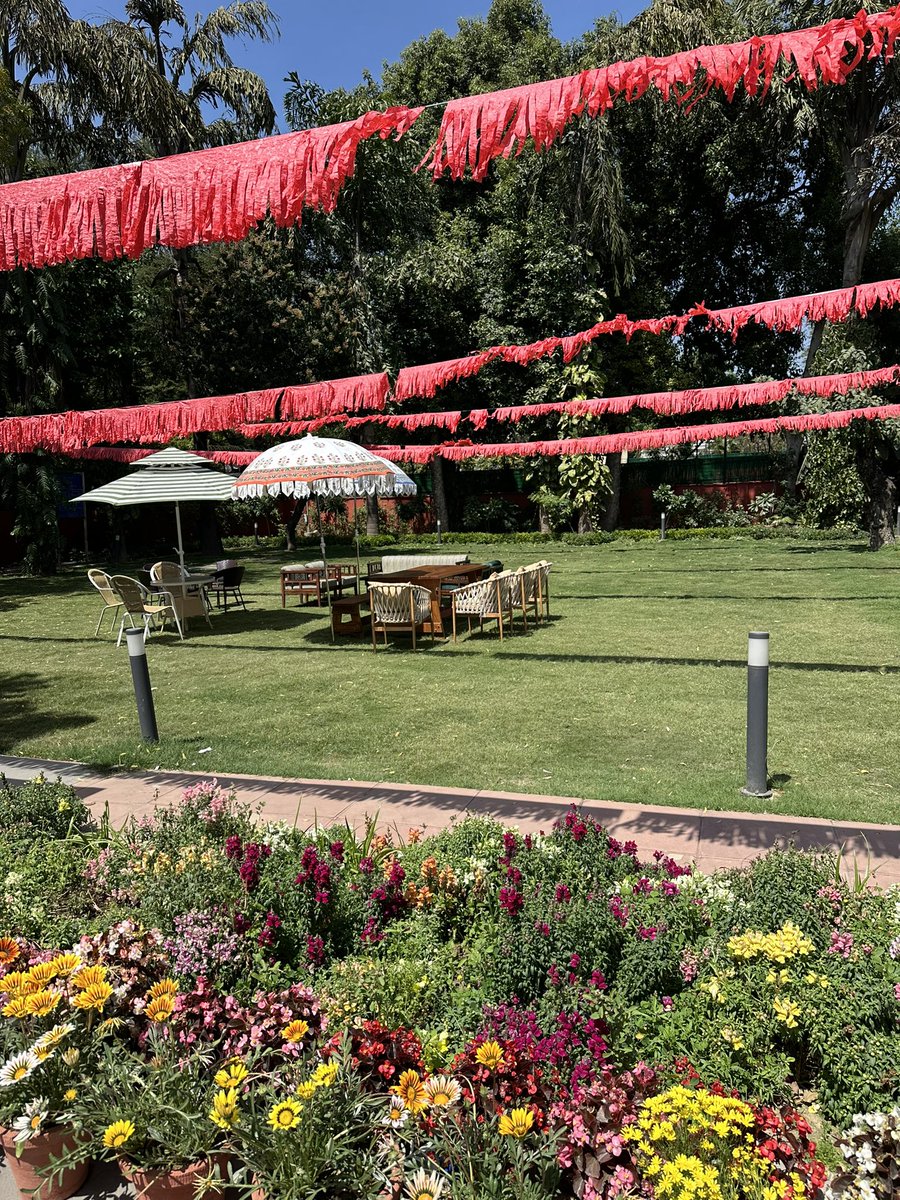 VasundharaTankh's tweet photo. Home &amp; Delhi in full bloom 🌸🌈 https://t.co/Wf07mlAvCd