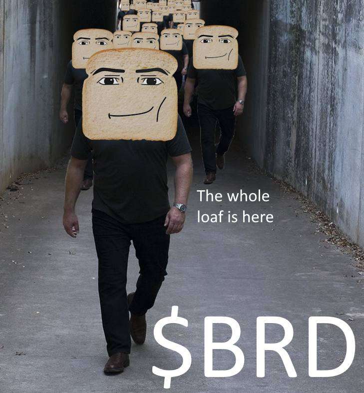 $BRD | BREADCOIN tweet media