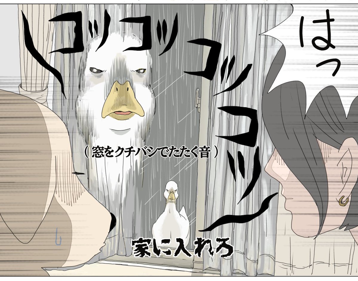 大雨の日のエースくんとヨバンさんの思い出です🐥🐶ヨバンさんのお願いの仕方っていつも怖いです。
犬はpleaseができるけどアヒルはいつもwantです。(どっちもかわいいです) 