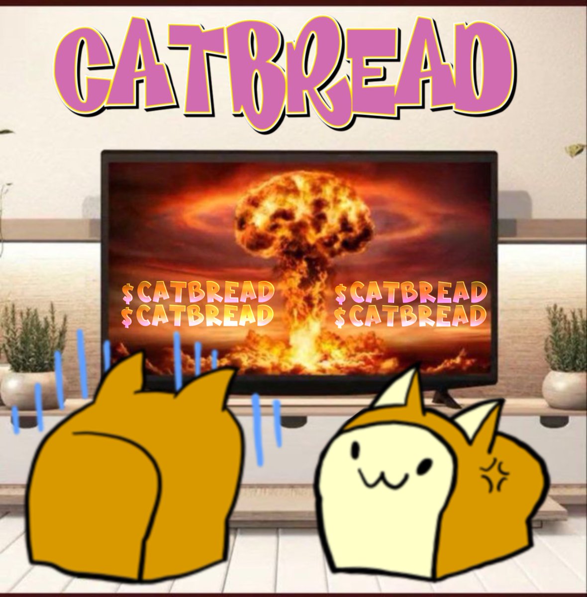 SolanaCatBread's tweet photo. Everything is fine CatBread https://t.co/yG2R8AOJPN
