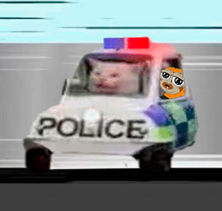 PoliceCatOnSol's tweet photo. https://t.co/X1Wy3VMLTy