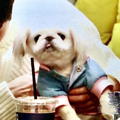 #새프로필사진 #만우절