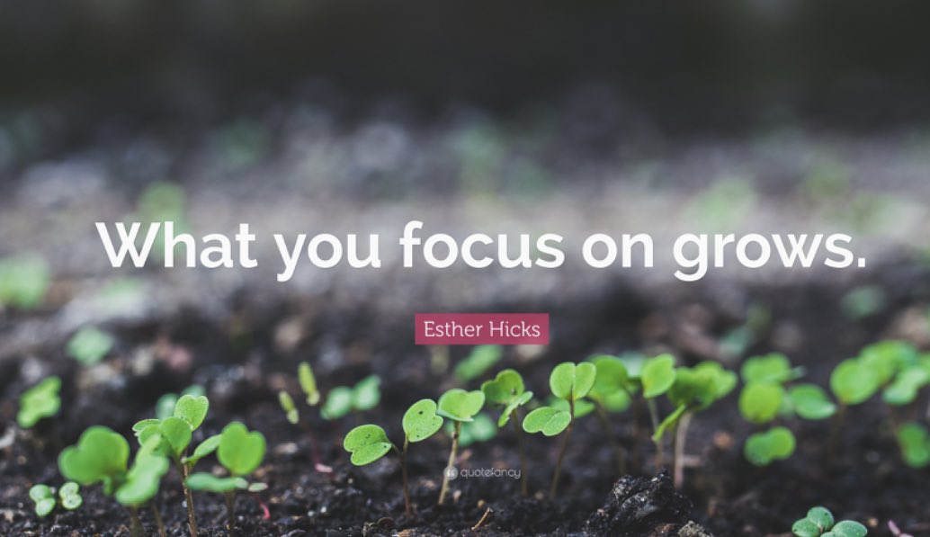 We can choose what grows in our lives. #focus #growth #life #discipline #choice #healthychoices #Motivation #selfawareness #change #determined #MakeADifference #health #wellness #MentalBalance #LifeHacks #routine #exercise @nipeaze