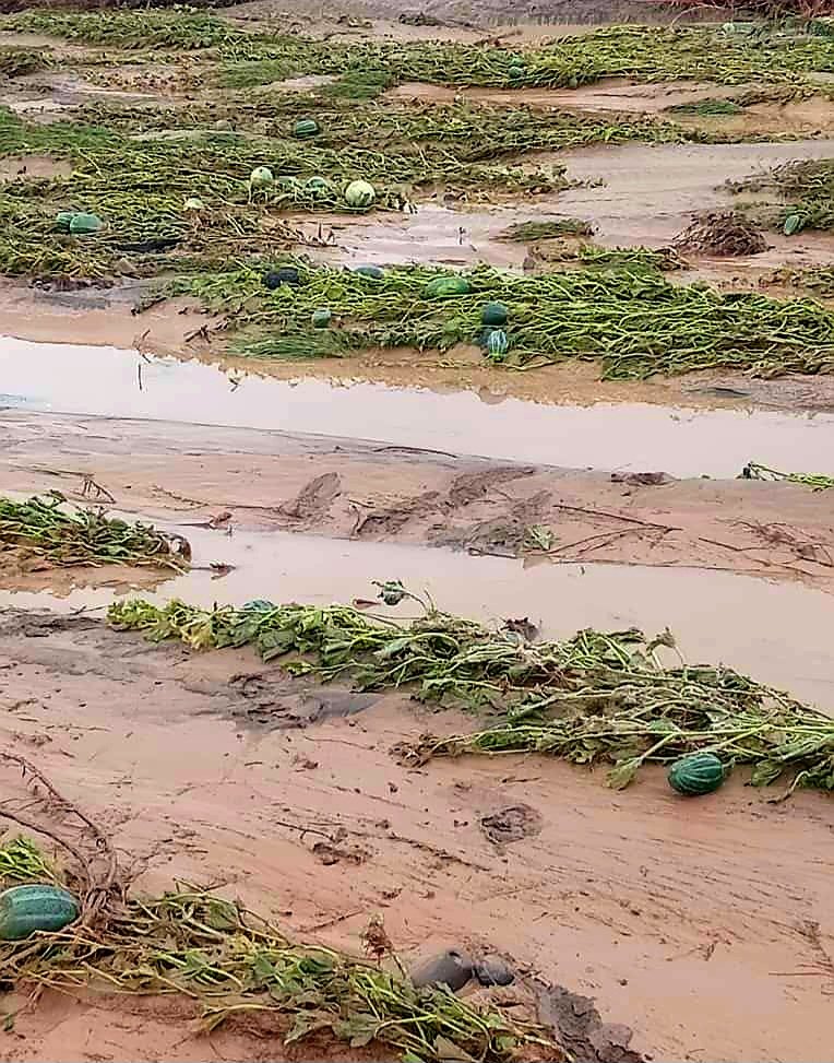 Alhmdulillah Cala kulu xaal 🙏📿
Heavy rains and floods have wiped out our crops, a six-month setback. Bismillah, let's start again.
Trusting in qadr, we are looking forward to a future where insurance safeguards us from climate change. #StartingOver #ClimateImpact #farming