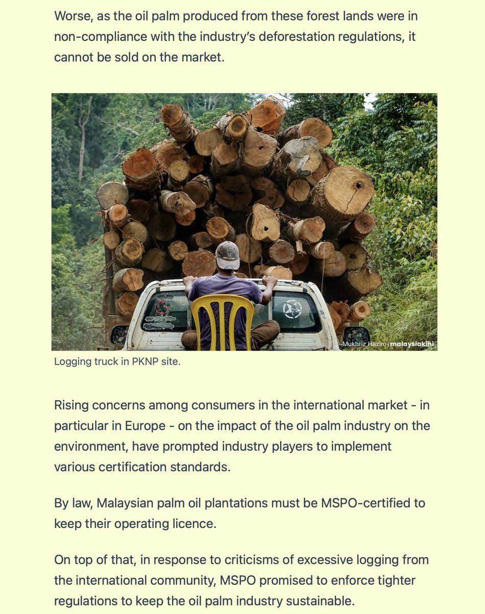 FreeMsian's tweet photo. Malaysiakini did a major expose on the modus operandi of deforestation for logging by VVVIP connected companies in Pahang but done in the name of "expanding palm oil plantation by state-owned GLCs." https://t.co/n59xLpOAy6